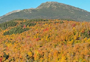 Fall Two-for-One Special Offers